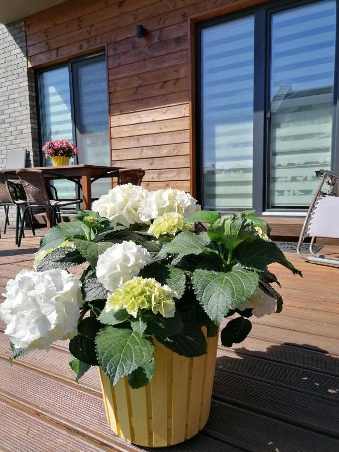Geltoni Apartamentai Palanga Ngoại thất bức ảnh